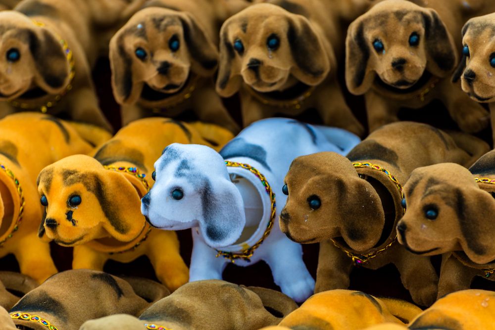 Question of the Week